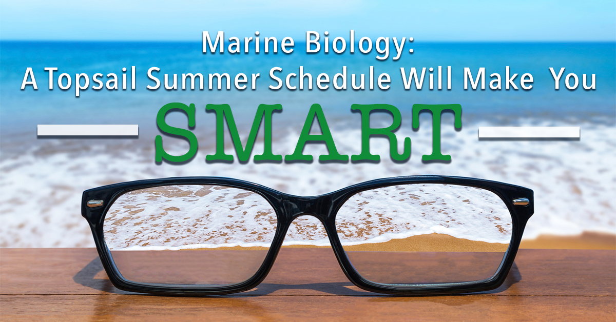 Marine Biology: A Topsail Summer Schedule Will Make You Smart
